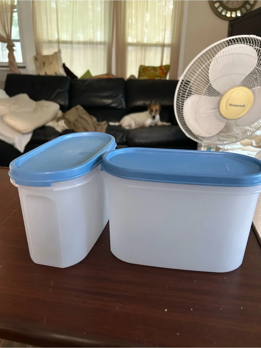 Vintage Tupperware Blue-Lid Food Storage Containers - Set of 2 5x3.5x7”